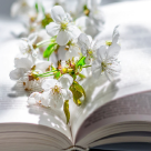 Poezia de colecție: Cele mai frumoase (și mai puțin cunoscute) Poezii Românești de Primăvară!