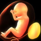 Grija pentru copiii actuali, principala cauza a avortului