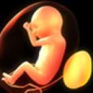 Grija pentru copiii actuali, principala cauza a avortului