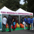 Frati si surori de inchiriat