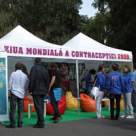 Frati si surori de inchiriat