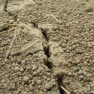 Cutremurele care vor lovi Romania - teorii si cercetari nonconventionale