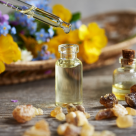 Bilă leneșă: tratamente naturiste, ceaiuri și plante amare care pot susține vezica biliară