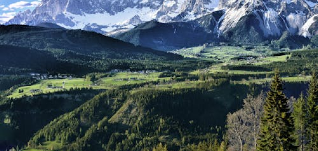 Dacă ai putea petrece o zi într-un peisaj de primăvară, unde ar fi?