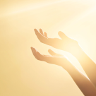 Cele 8 Legi ale Vietii dupa Albert Einstein