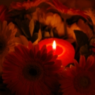 Sarbatoarea Sfintei Marii, Pastele din mijlocul verii: Traditii si obiceiuri 