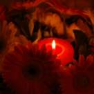 Sarbatoarea Sfintei Marii, Pastele din mijlocul verii: Traditii si obiceiuri 