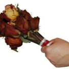 Flori, fete, filme sau baieti