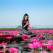 Lacul cu nuferi roz: În Thailanda există un loc magic în care, în fiecare iarnă, un lac se transformă într-un spectacol ireal 
