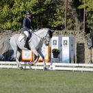 Karpatia Horse Show 2022: șapte premii pentru România, 15 mii de spectatori și o atmosferă chic!