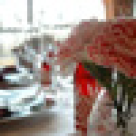 Piept de pui in tol festiv