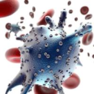 Stem Sure este membru fondator a 'Danish-Romanian Business Association'