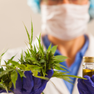 5 Tratamente naturiste care alungă ANXIETATEA