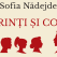 Editura Publisol anunță apariția celui de-al treilea roman al Sofiei Nădejde, Părinți și copii