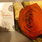  Iubire versus neiubire. Cât de periculoasă este simularea iubirii și cât de vindecătoare pot fi sentimentele sincere față de cel de lângă noi, ne povestește Ana Maria Ducuță