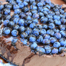 Delicii de primăvară: 5 deserturi home made pentru a te bucura de prospețimea acestui anotimp