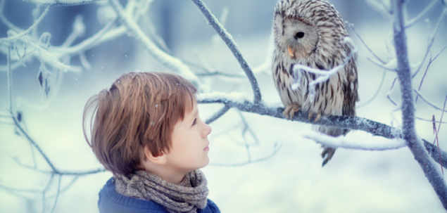 Ce iti transmite aceasta imagine?