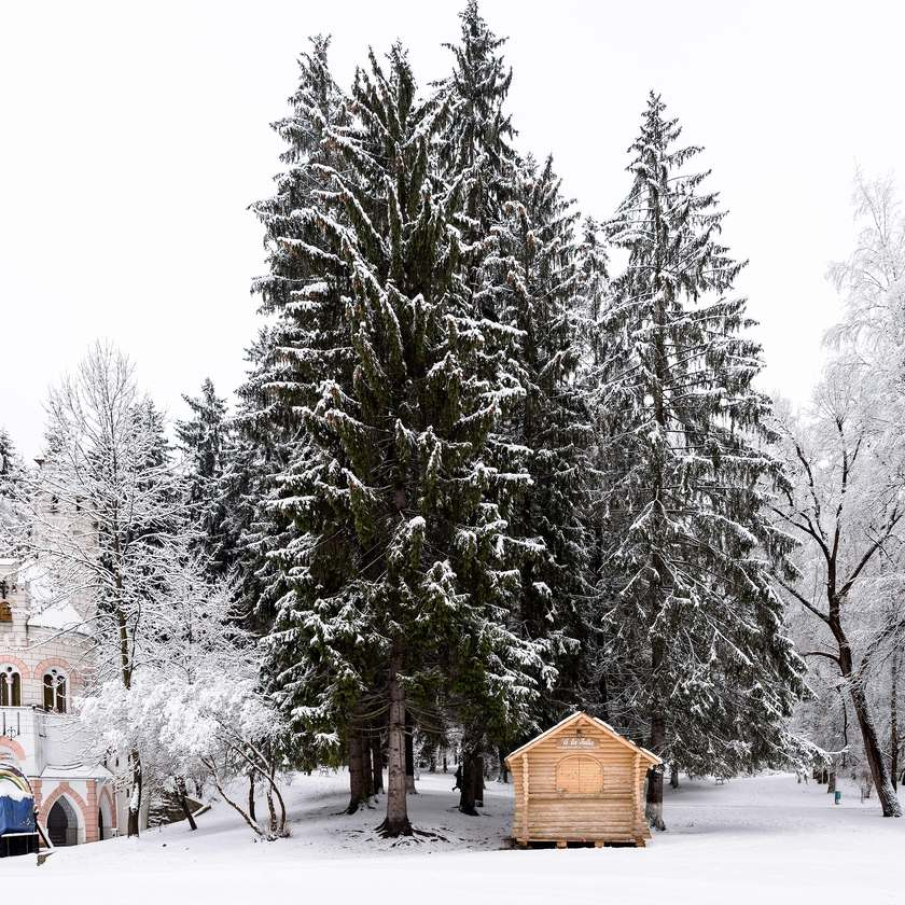 Vatra Dornei peisaj de iarna 