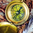 Zambeste, iubeste, greseste. Cele 50 de Reguli de AUR ale Vietii