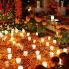 Moșii de vară –Întoarcerea strămoșilor. Cei care au fost... sunt. În noi. Iar prin iubire și pomenire, îi aducem din nou acasă