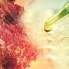 5 informatii esentiale despre cancer, prezentate de un expert oncolog