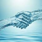 3 ZODII care au Memoria Apei moștenită din sistemul lor ancestral