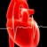 Despre bolile cardiovasculare si factorii lor de risc