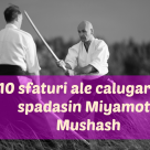 10 sfaturi ale calugarului spadasin Miyamoto Mushashi