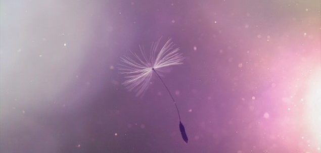 Ce iti doresti cel mai mult?