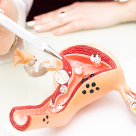 Uter retrovers | Ce inseamna pentru o viitoare mamica?