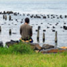 Concediu estival in functie de temperament