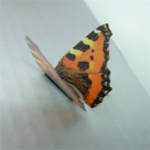 Cu noua Wiesana arati bine si te simti bine!