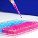 Tot ce trebuie sa stii despre fertilizarea in vitro