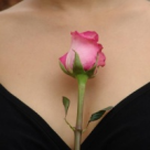 Tinuta pentru Succes 