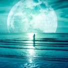 24 Octombrie -  Lună plină în Taur: ne întoarcem către noi, către iubire, către rădăcinile noastre! 