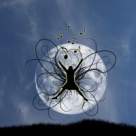 Iubit, apreciat, omagiat! Michael Jackson.