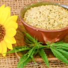 Uimitoarele beneficii ale SEMINTELOR DE CANEPA