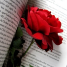 La Limita Vulgaritatii. Mic Tratat De Mare Pudoare