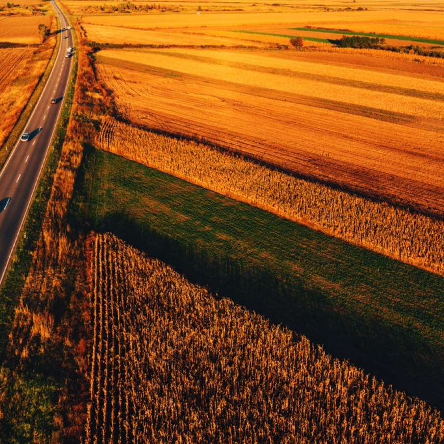 Lumina calda de toamna surprinsa din drona, deasupra lanurilor de grau si porumb