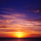 Alergi dupa iluzii...si uiti de sufletul tau 