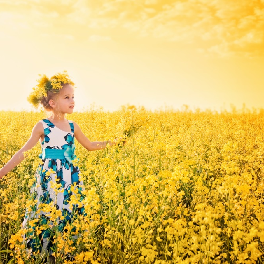 Imagini de vis cu cele mai frumoase lanuri de rapiță - galbenul absolut al lunilor aprilie/mai!