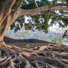 Micile INSTRUCTIUNI ale VIETII pentru a deveni un om mare. 48 de mini-reguli extraordinare 