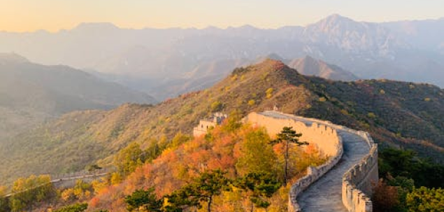 Care e prima imagine care îți vine în minte când auzi „resetare”?