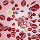 7 factori care iti cresc colesterolul