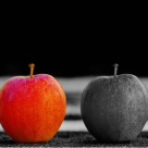 Matthew Jones: 20 de Adevaruri brutale despre Viata pe care nimeni nu vrea sa ti le spuna