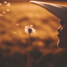 Despre viață: 95 de întrebări ce te vor ajuta să-ți aduni gândurile și să regăsești fericirea