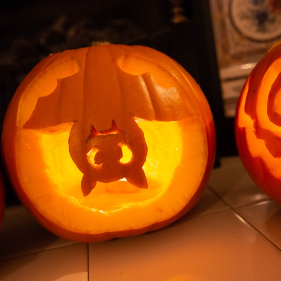 Liliacul năzdrăvan