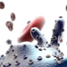 Spune-mi ce grupa sanguina ai, ca sa iti spun cum stai cu imunitatea!