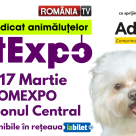 Show de modă canină, concurs de pești exotici, prezentare de rase canine românești la Pet Expo!
