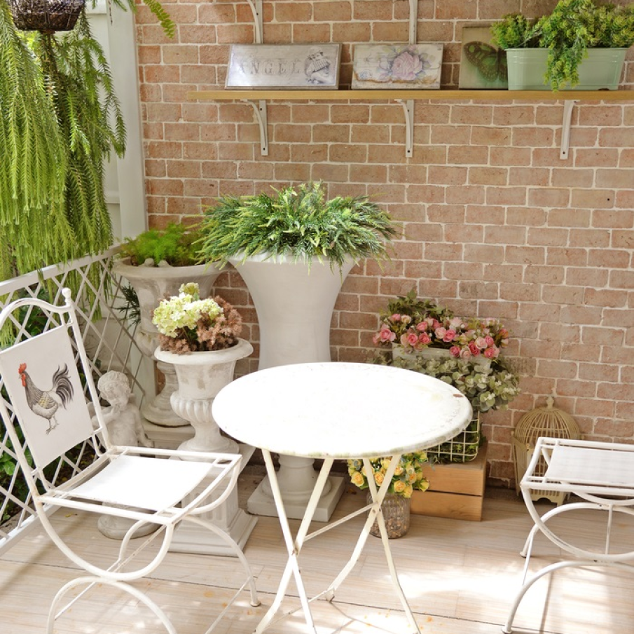 Rafturi pe perete pe care se odihnesc linistite ghivece cu plante de apartament